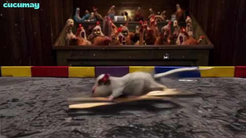 Kitchen Rat Becomes Satay Racer