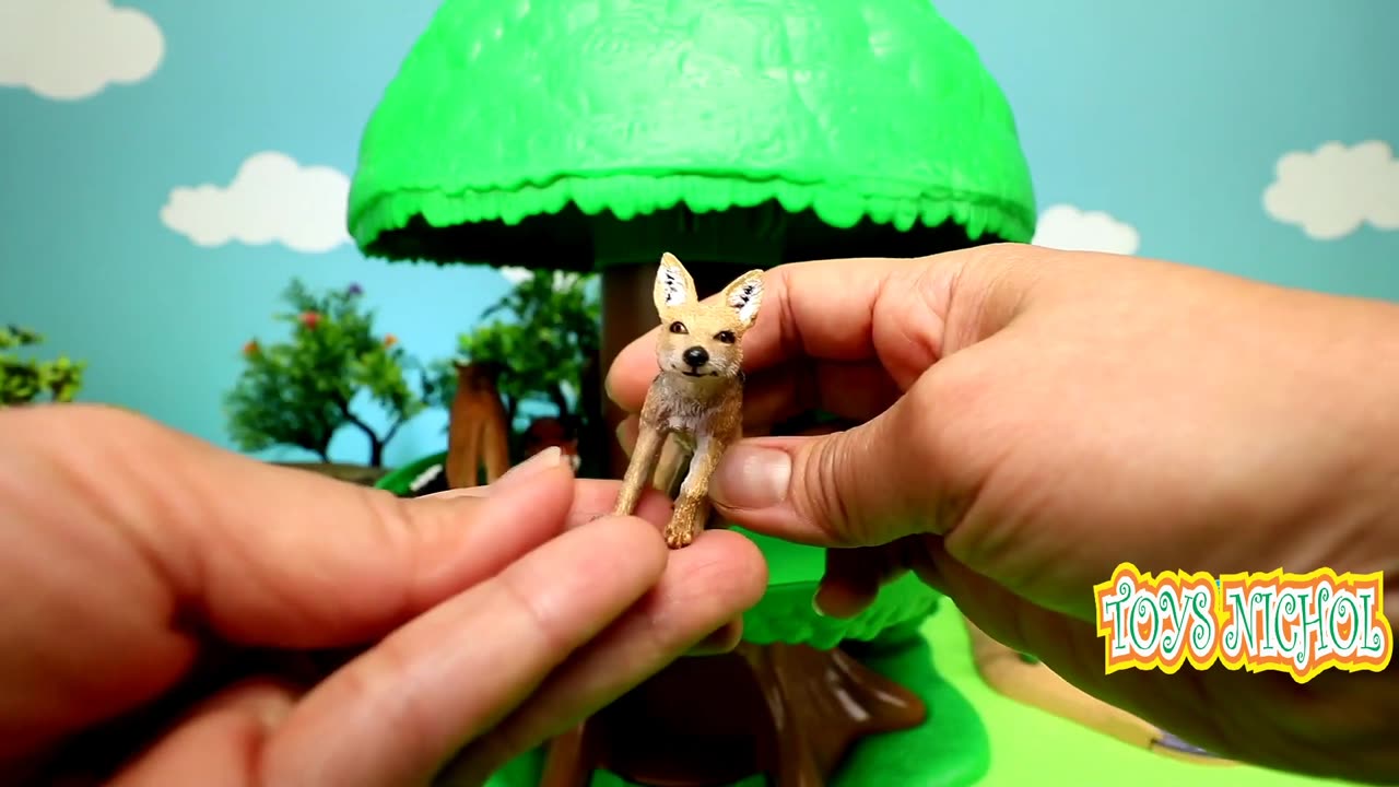 Raccoons Hide in the Bushes When an Elephant Passes By