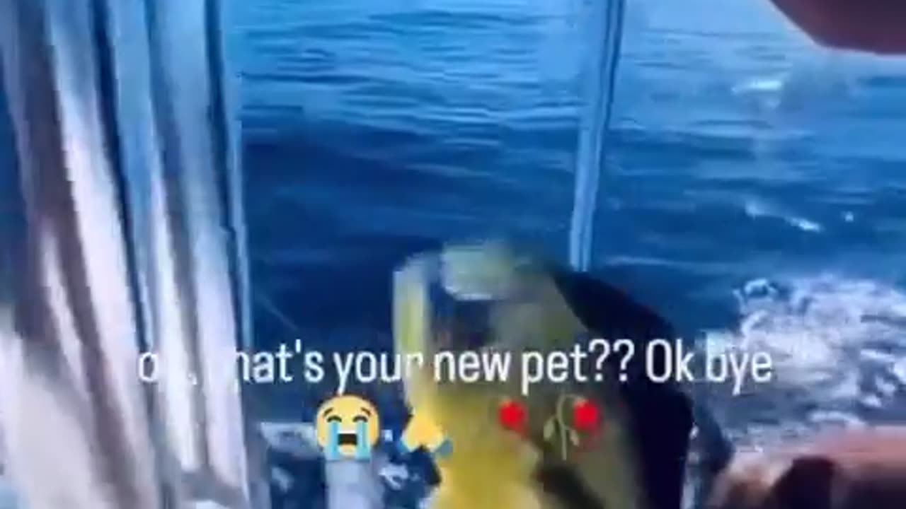 🌊🌊 My Ocean People Need Me! | FunFM