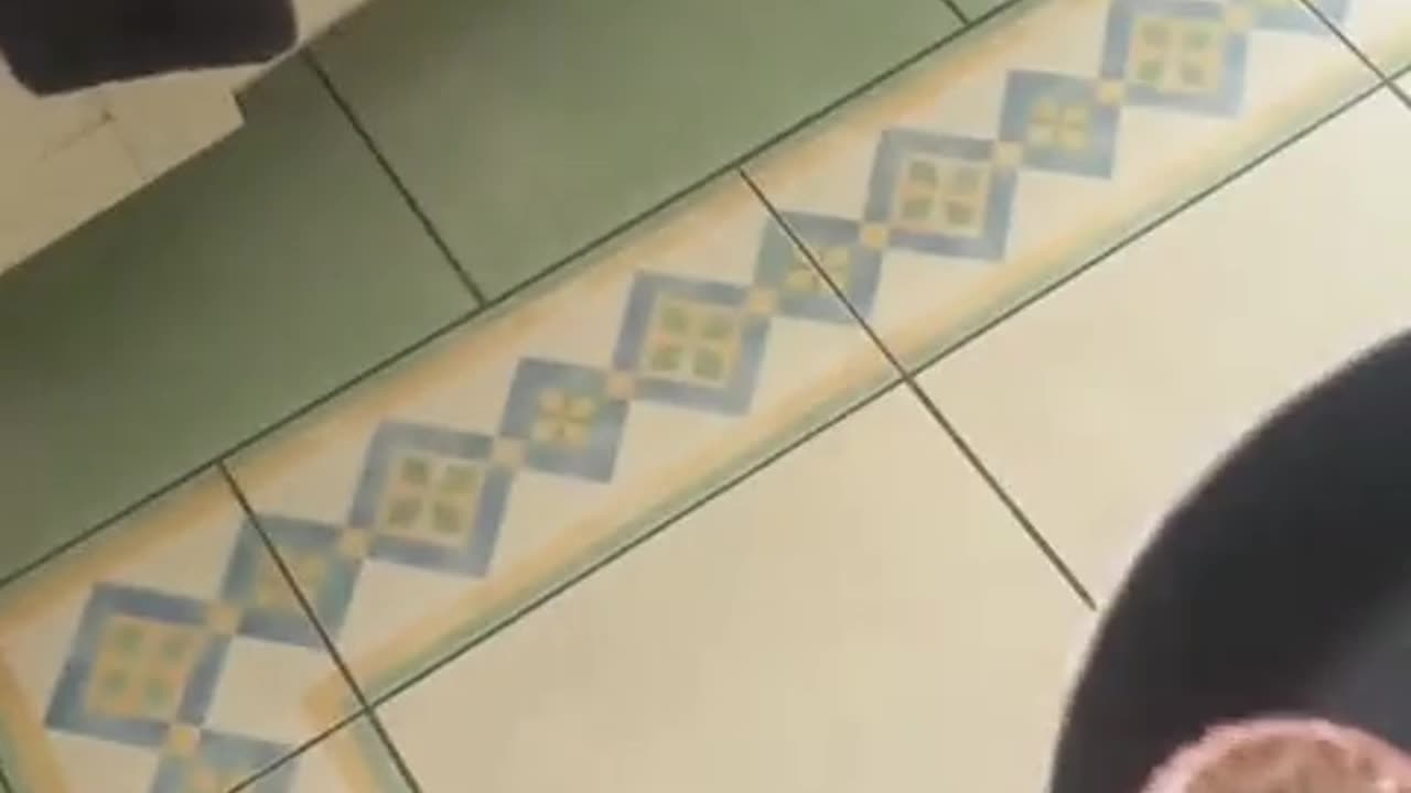 🍔😂 Burger Flip FAIL You Have to See! | FunFM