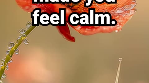 Comment if this moment made you feel calm #calmingaurameditation #innerbalancemeditation