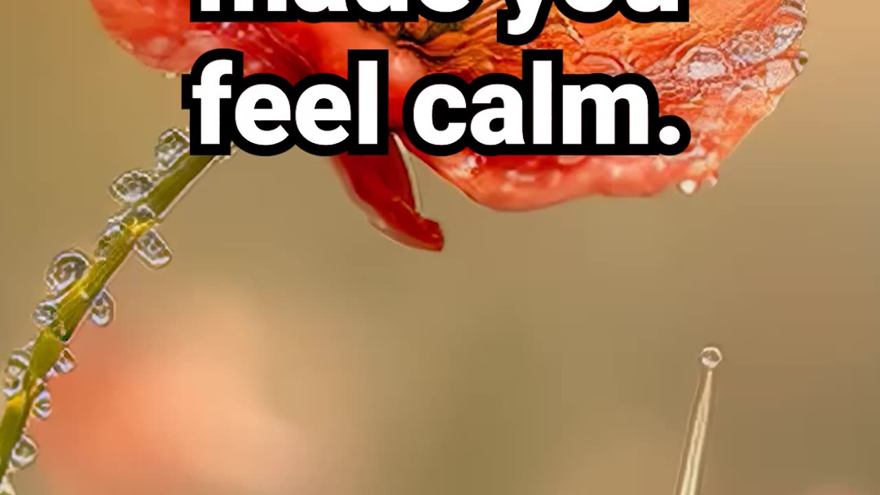 Comment if this moment made you feel calm #calmingaurameditation #innerbalancemeditation