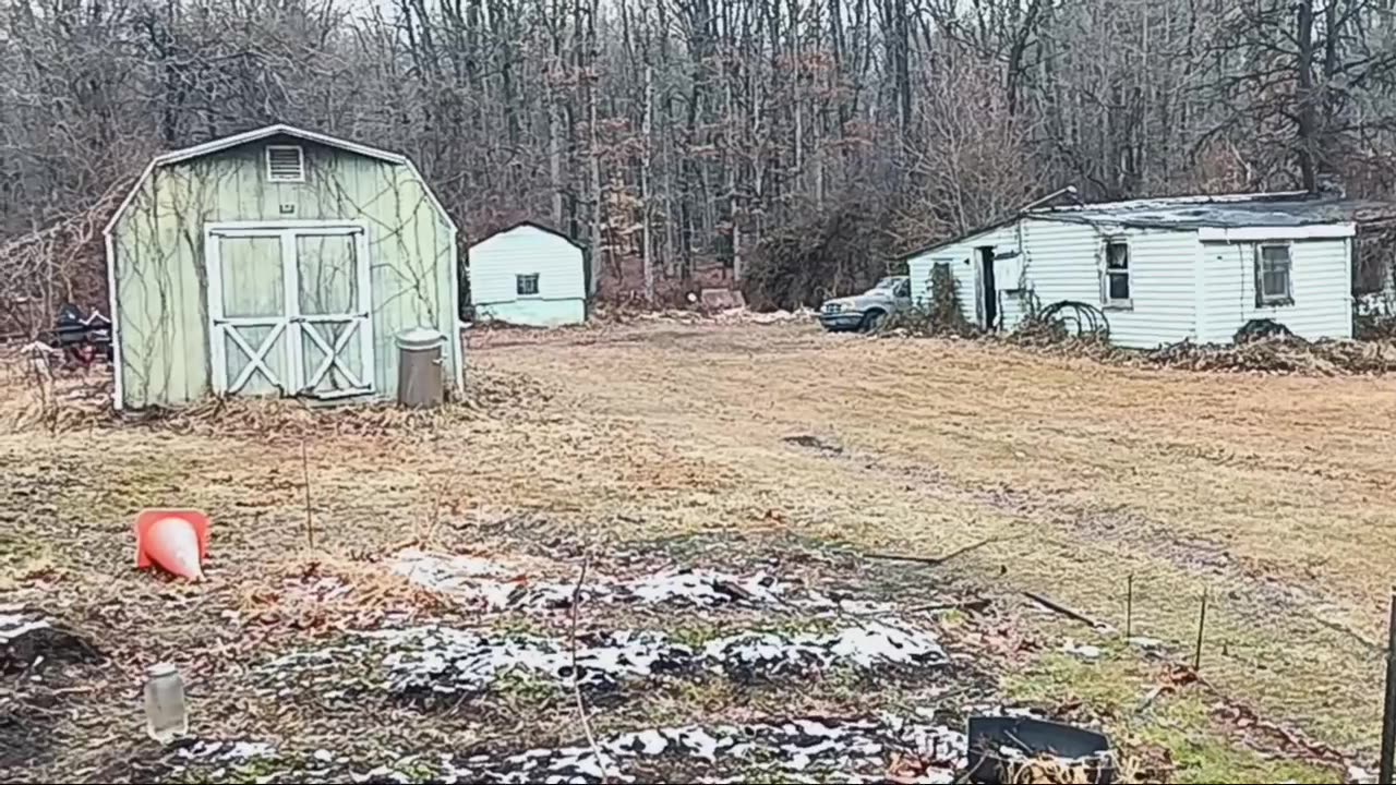 How Long Does it Take me to walk 1 Load of Laundry? ASMR Homelessness Suburban Woods Lost Video Log