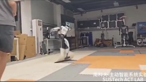 🤯✨ Watch This Humanoid Fight & Get Back Up Instantly! | FeedMyCuriosity