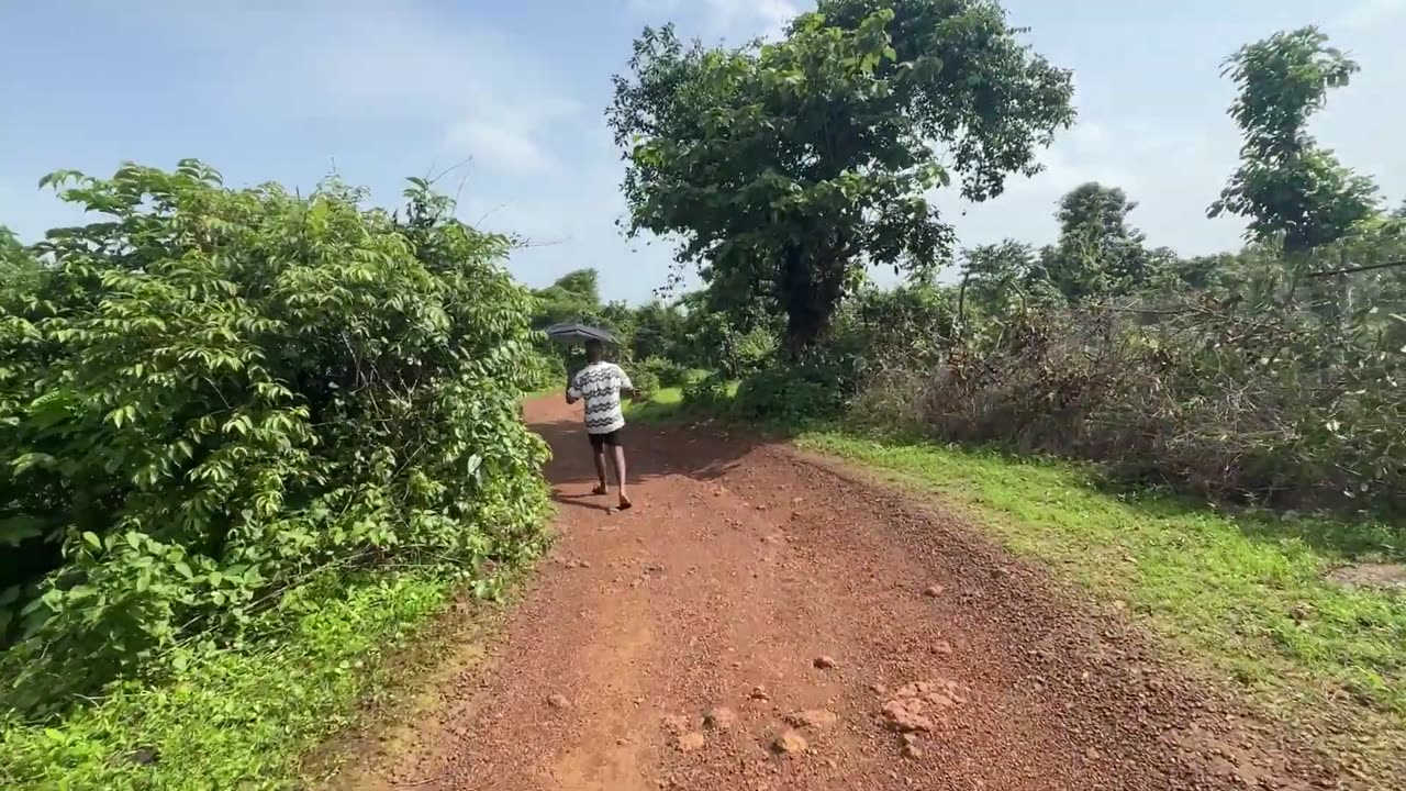 Exploring The Beautiful Cola Beach in India - Agonda