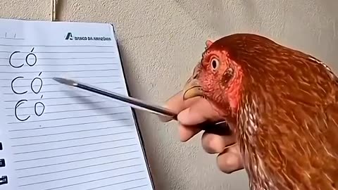 Ayam Pintar