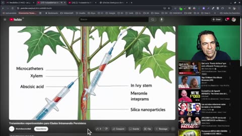 Información de Cladus Intramuralis Persistens: