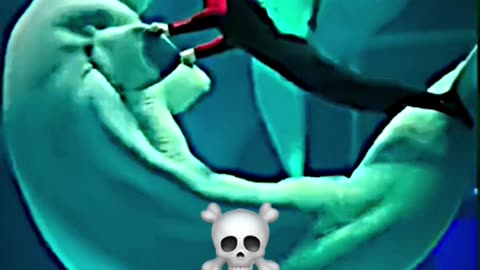 POWER OF TRANSFORMATION ☠️