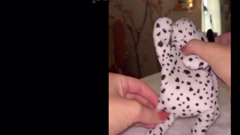 😂👏 She Did Do a Great Job! | FunFM