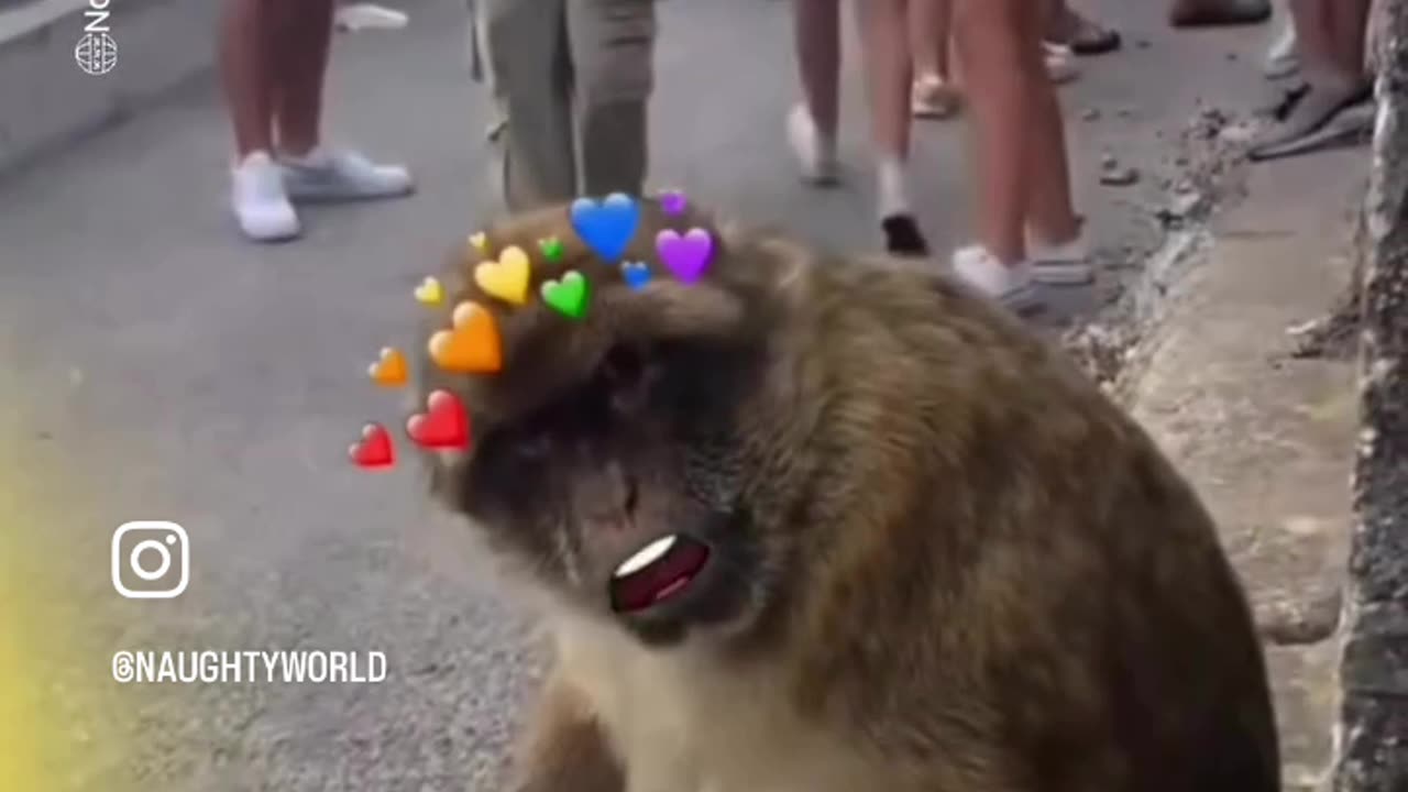 🤣🤣