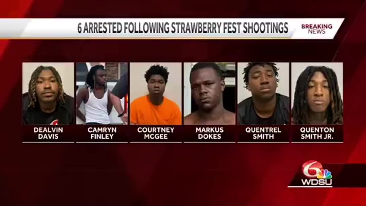 Ninjas At Strawberry Festival