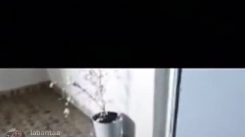 Zakaria mohafid gaat langs bij ofux🤣🤣🤣🤣🤣🤣)