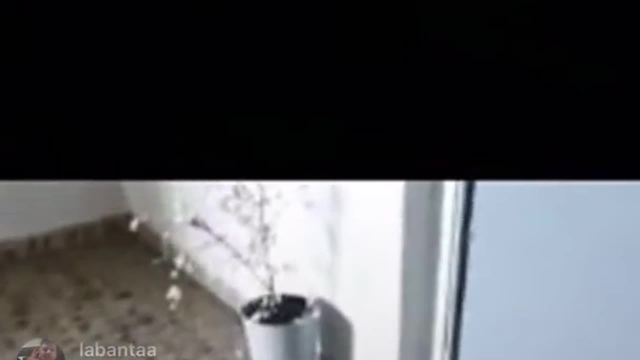 Zakaria mohafid gaat langs bij ofux🤣🤣🤣🤣🤣🤣)