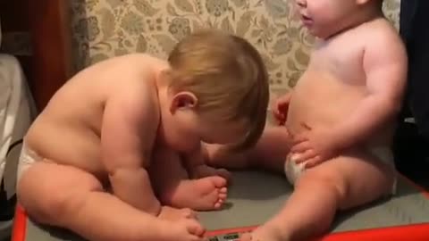 fuuny vedeos