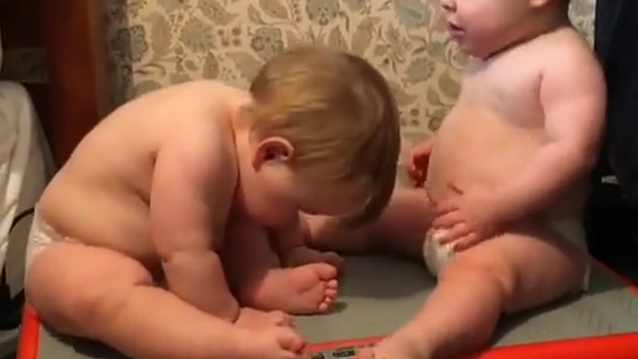 fuuny vedeos