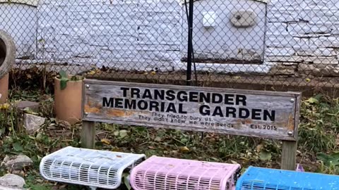 GIGANTIC WASTES OF MONEY - VOL. 207: TRANSGENDER MEMORIAL PARK