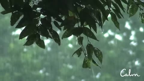 Rainstorm sound for relaxing, focus and deep sleep