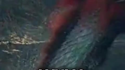 The POWER of The Hand