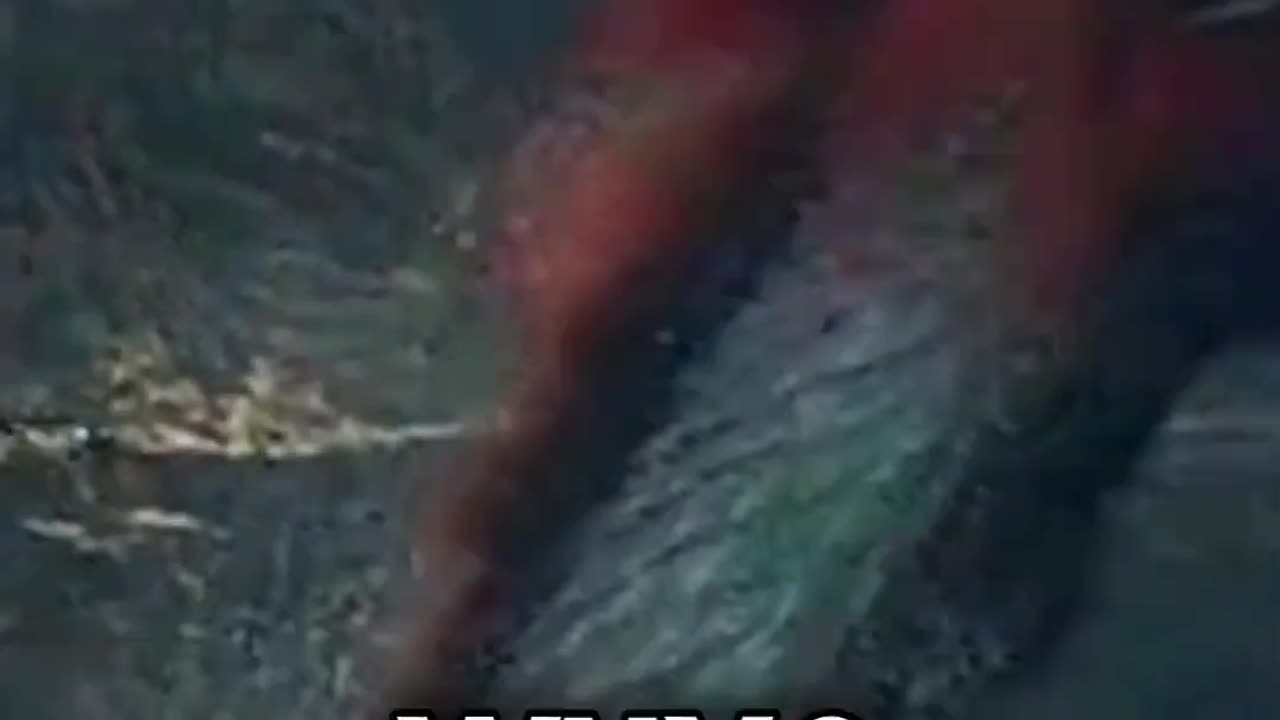 The POWER of The Hand