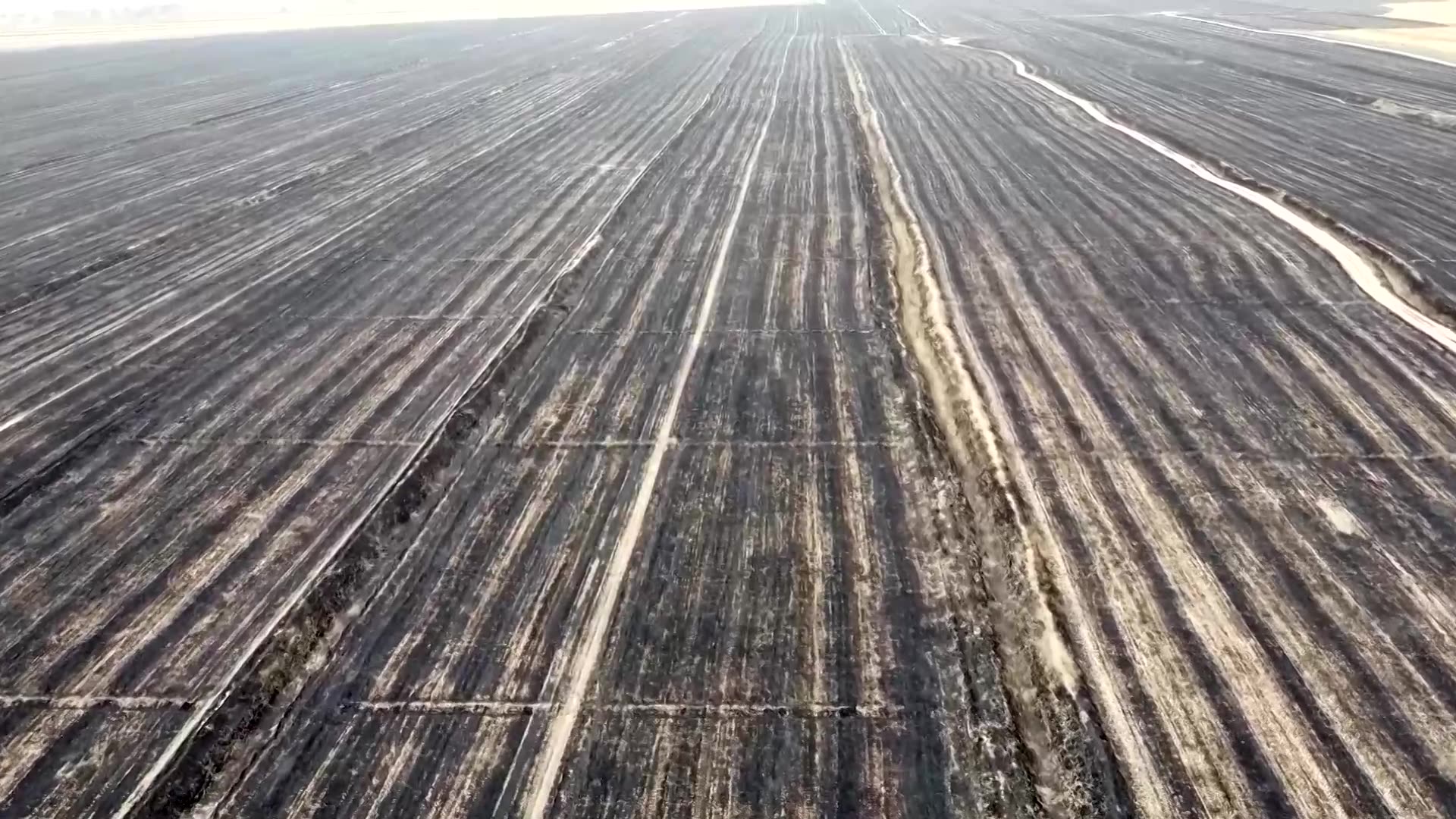 Water crisis forces some Iraqi farmers to abandon their land