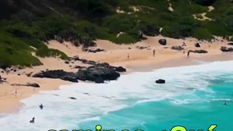 😊 228 “LO QUE IMAGINAS TIENE RESPALDO DIVINO” Salmo 20:4 😊