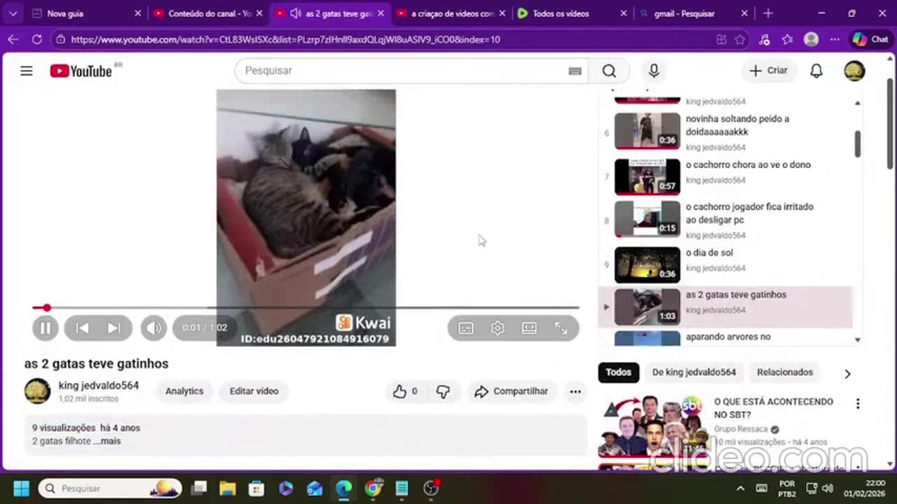 a criaçao de videos completo