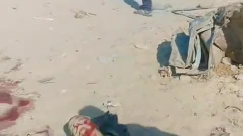 Gazans kill each other over food air dropped by Israel