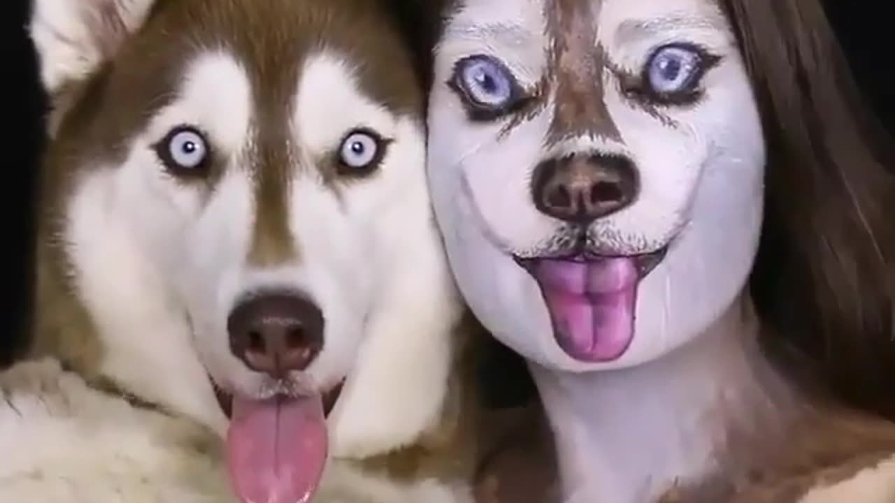 funny animals
