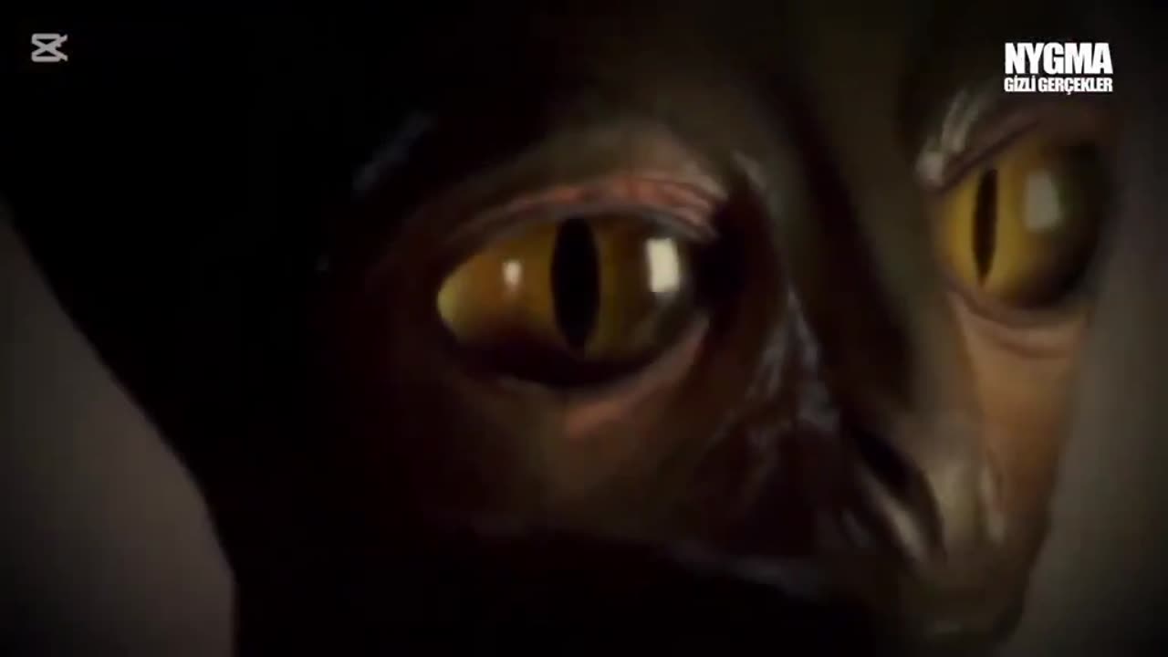 Human cloning was used as the main infiltration by the reptilians...