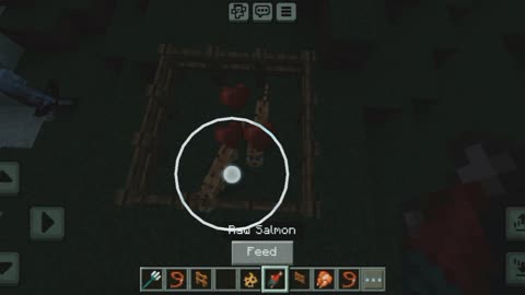 How to breed ocelot in Minecraft