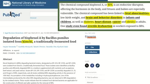 Tim Dillon kicked out of Riyadh Comedy Festival▮The Jimmy Dore Show