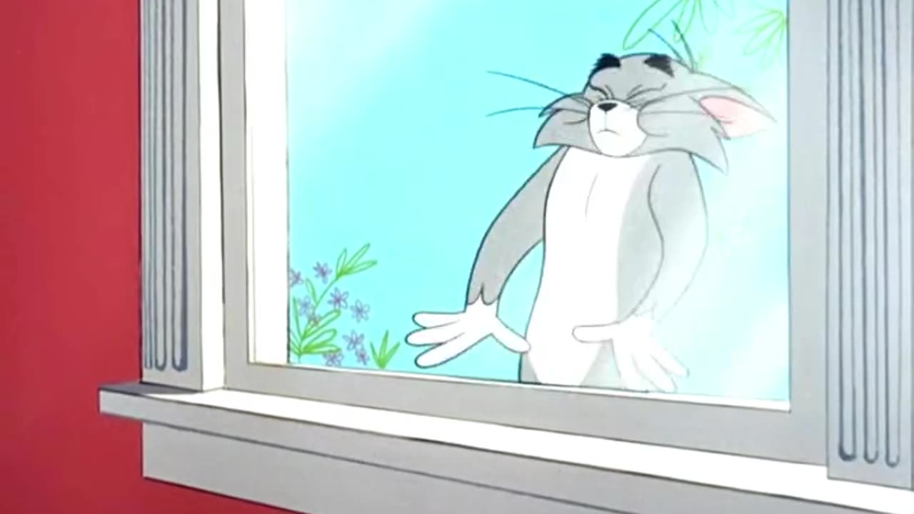Tom's morning