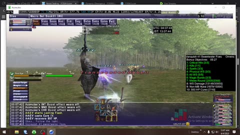 Playing Final Fantasy XI Online