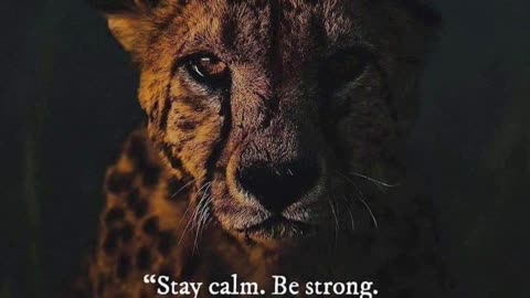 Thoughts of the day