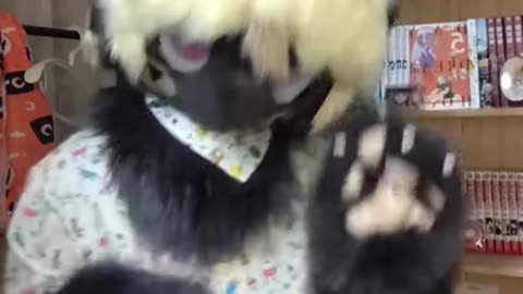 我比任何人都更喜欢你