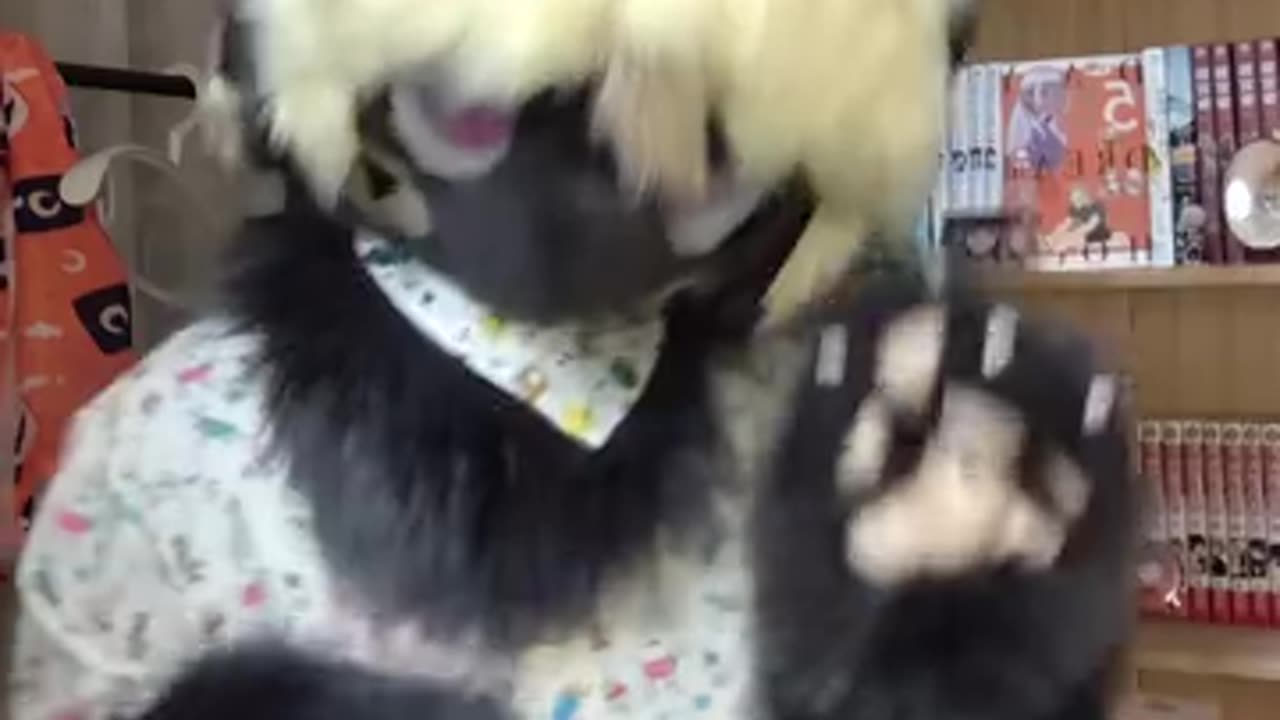 我比任何人都更喜欢你