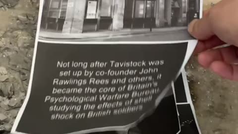 Tim Rifat TikTok Videos