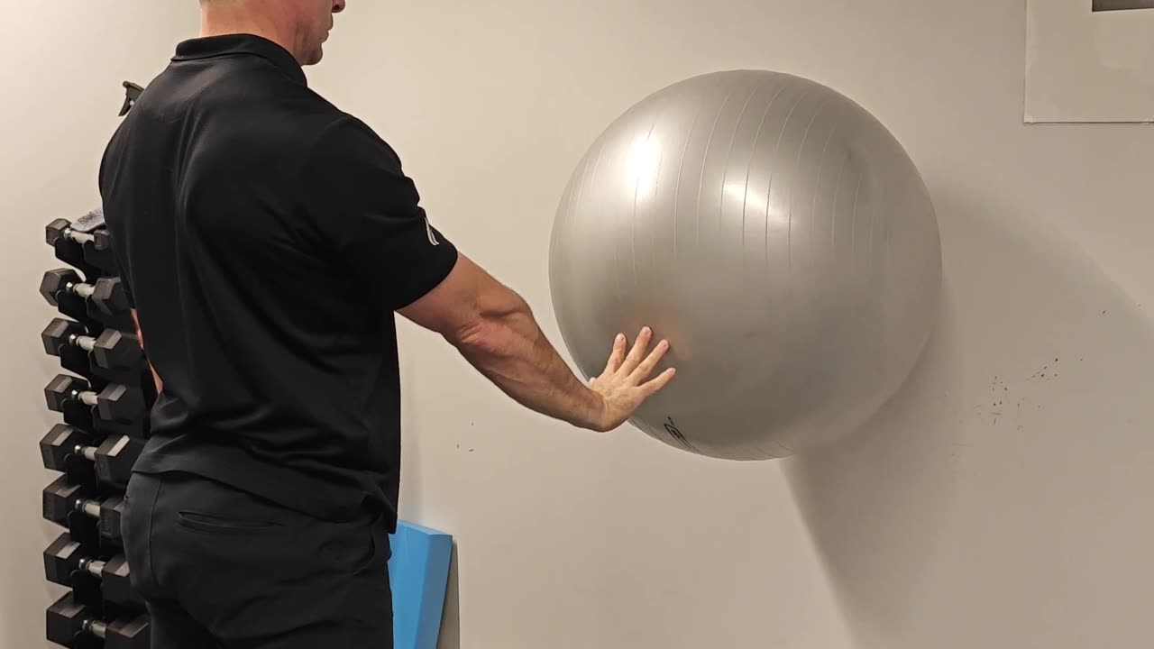 Swiss Ball wall push