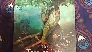 Oracle Card Reading 11/2/25