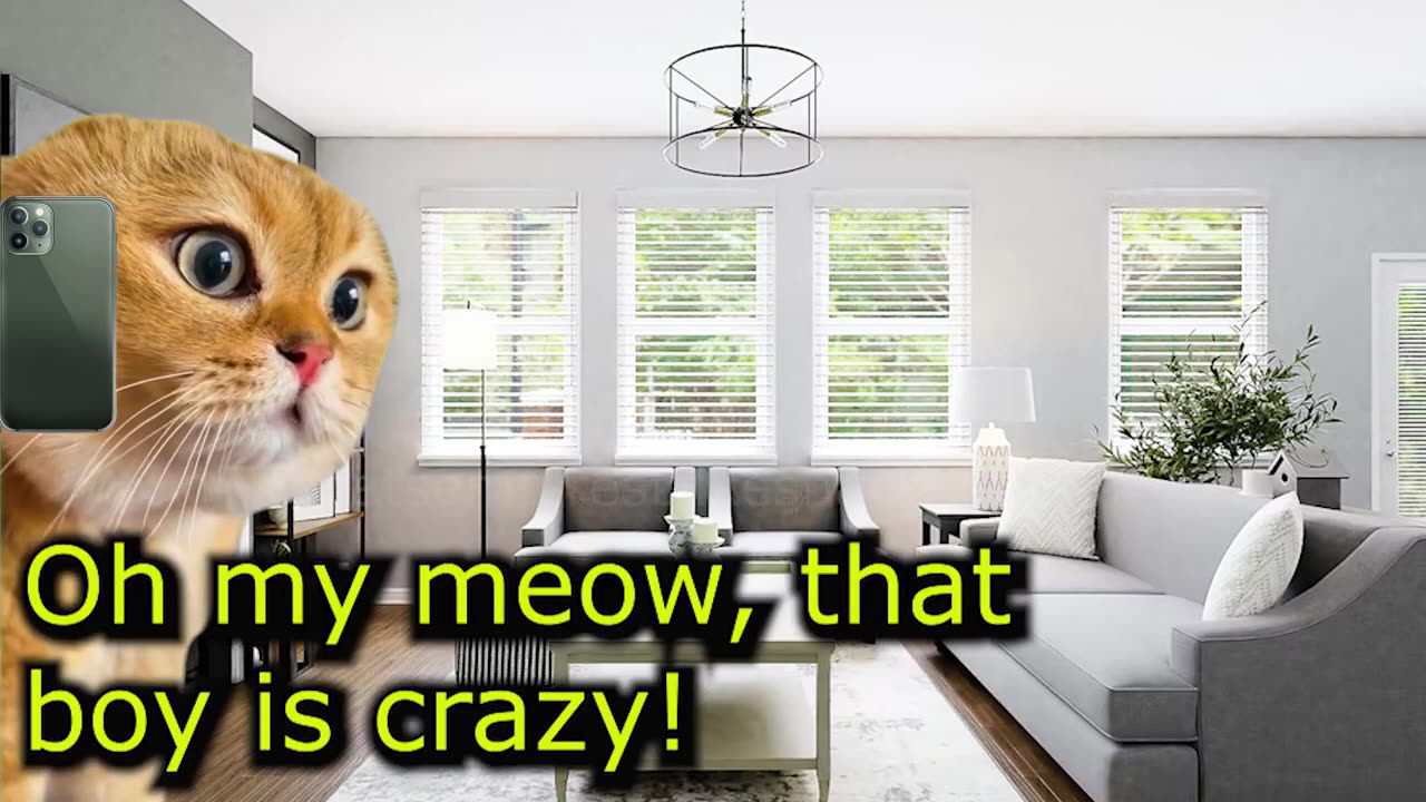 Two Cats are Desperate to Find their Missing Kitten (Ep.106)