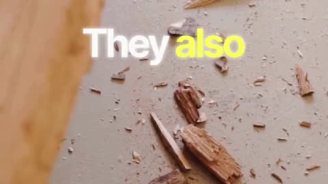 Shockwave Therapy in Maple Ridge | Fast Pain Relief at Golden Maple Physiotherapy