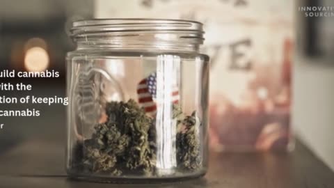 Professional Cannabis Packaging – Child-Resistant Glass Jars for Bulk Orders