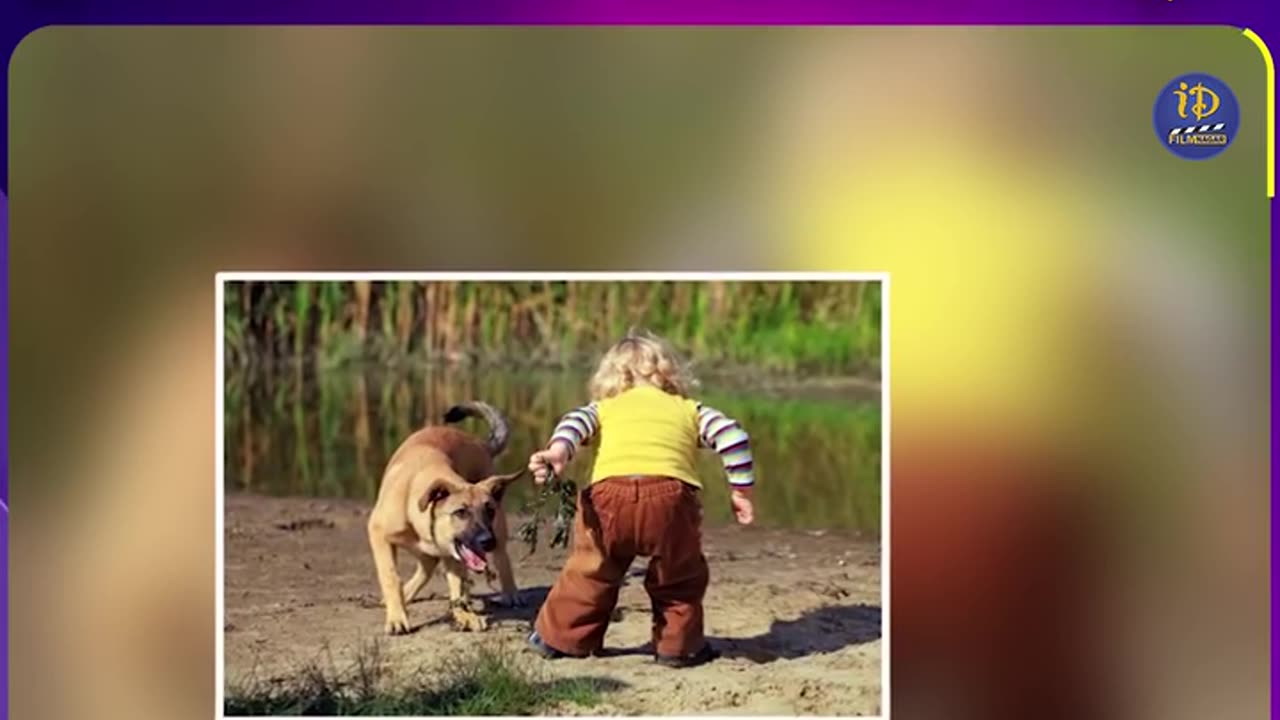 Telangana: 5 year old child died 2 weeks after administration of anti rabies vaccination