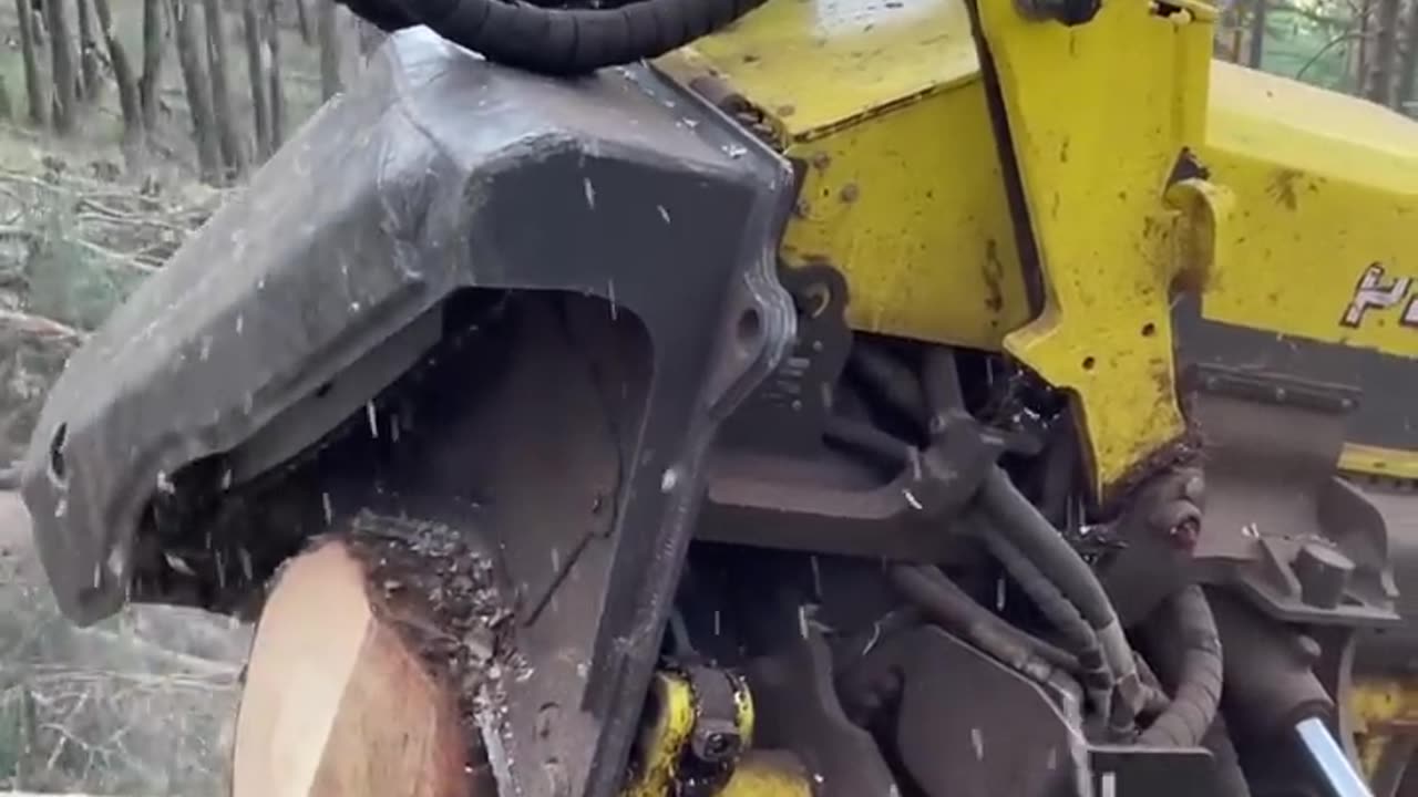 How the Harvester 1270g Processes Trees