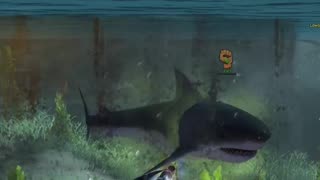 Friend of the Fish (Achievement Guide) - Guild Wars 2