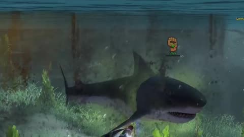 Friend of the Fish (Achievement Guide) - Guild Wars 2