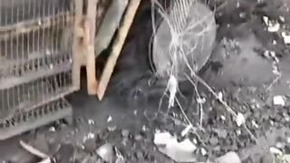 🔥🇺🇦 Ukraine Russia War | Destroyed Kozak-2M1 in Donbass | RCF