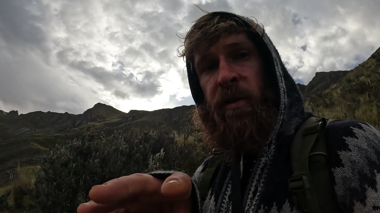 Research whatever you want through your own experience