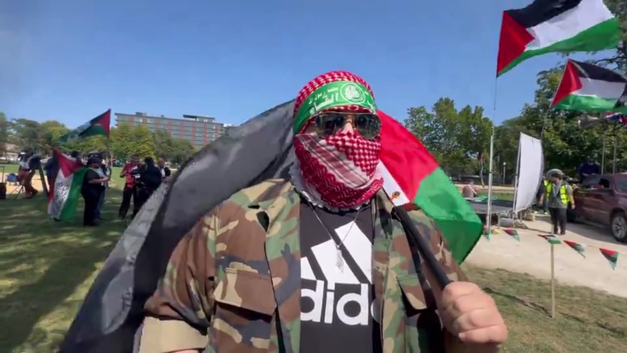 Based Pro-Palestine Protester