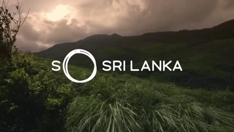 SINHARAJA FOREST SRI LANKA 🥰🥰🤗